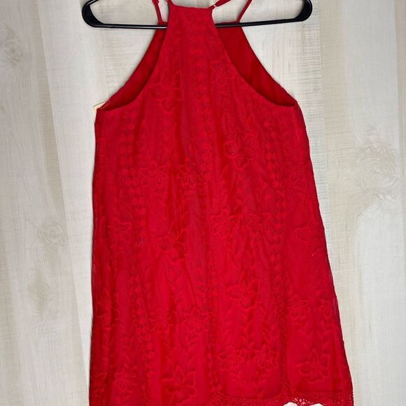 Altar’d State red sleeveless spaghetti strap lined dress, size small - Picture 7 of 16